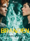 Branden (eBook, ePUB)