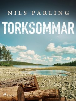 Cover Torksommar (eBook, ePUB)
