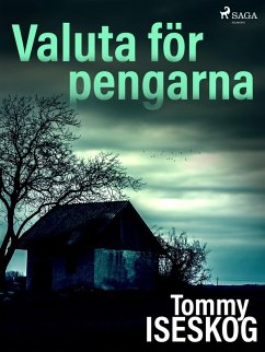 Cover Valuta för pengarna (eBook, ePUB)
