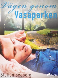 Vägen genom Vasaparken (eBook, ePUB) - Seeberg, Staffan