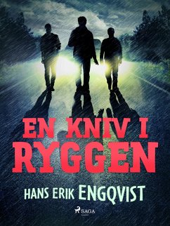 Cover En kniv i ryggen (eBook, ePUB)