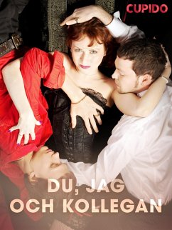 Cover Du, jag och kollegan (eBook, ePUB)