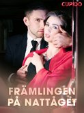 Främlingen på nattåget (eBook, ePUB)