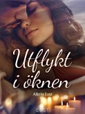 Utflykt i öknen - erotisk novell (eBook, ePUB)