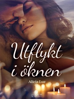 Cover Utflykt i öknen - erotisk novell (eBook, ePUB)