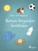 Bortom Sörgården: berättelser (eBook, ePUB)