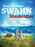 Stenbrottet (eBook, ePUB)