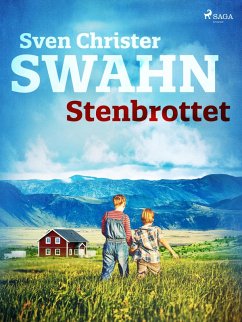 Cover Stenbrottet (eBook, ePUB)