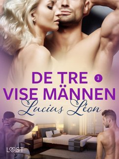 Cover De tre vise männen 3- BDSM erotik (eBook, ePUB)