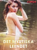 Det mystiska leendet (eBook, ePUB)