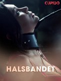 Halsbandet (eBook, ePUB)