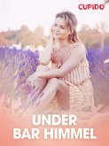 Under bar himmel - erotiska noveller (eBook, ePUB)