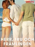 Herr, fru och främlingen (eBook, ePUB)