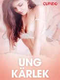 Ung kärlek - erotiska noveller (eBook, ePUB)