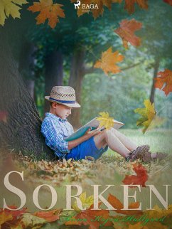 Cover Sorken (eBook, ePUB)