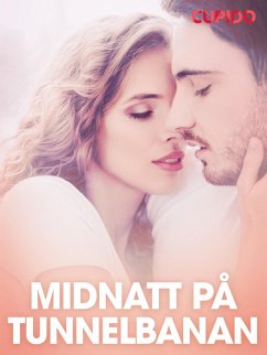 Cover Midnatt på tunnelbanan - erotiska noveller (eBook, ePUB)