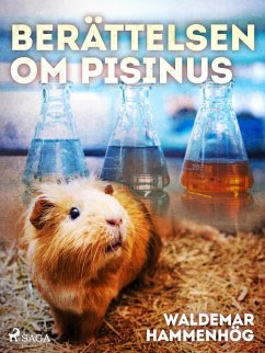 Cover Berättelsen om Pisinus (eBook, ePUB)