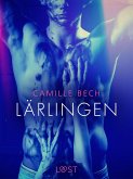 Lärlingen - erotisk novell (eBook, ePUB)