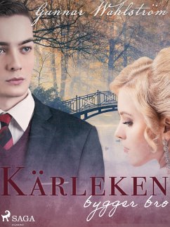 Cover Kärleken bygger bro (eBook, ePUB)