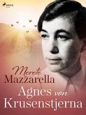 Agnes von Krusenstjerna (eBook, ePUB)
