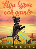 Nya byxor och gamla (eBook, ePUB)