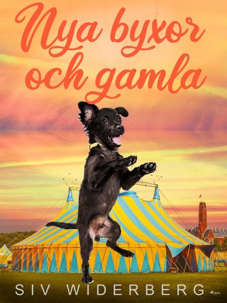 Nya byxor och gamla (eBook, ePUB) Nya byxor och gamla (eBook, ePUB)