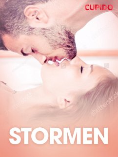 Cover Stormen - erotiska noveller (eBook, ePUB)