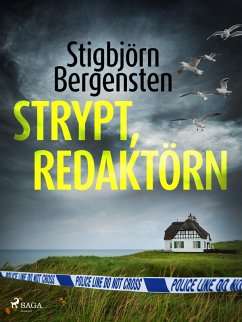 Cover Strypt, redaktörn (eBook, ePUB)