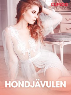 Cover Hondjävulen - erotiska noveller (eBook, ePUB)