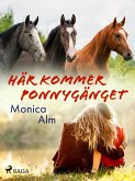 Här kommer Ponnygänget (eBook, ePUB)