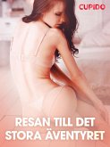Resan till det stora äventyret - erotiska noveller (eBook, ePUB)