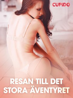 Cover Resan till det stora äventyret - erotiska noveller (eBook, ePUB)