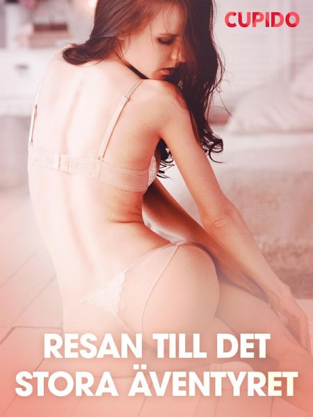 Resan till det stora äventyret - erotiska noveller (eBook, ePUB)