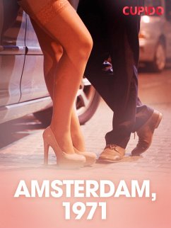 Cover Amsterdam, 1971 - erotisk novell (eBook, ePUB)
