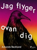 Jag flyger ovan dig (eBook, ePUB)