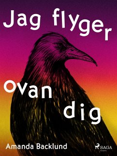 Cover Jag flyger ovan dig (eBook, ePUB)