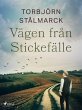 Vägen från Stickefälle (eBook, ePUB) - Bild 1