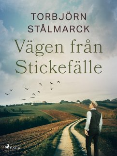 Vägen från Stickefälle (eBook, ePUB) - Stålmarck, Torbjörn