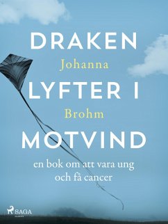 Cover Draken lyfter i motvind (eBook, ePUB)