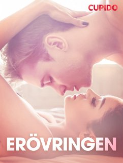 Cover Erövringen - erotiska noveller (eBook, ePUB)