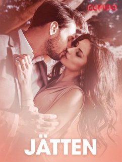 Cover Jätten - erotisk novell (eBook, ePUB)