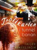 Trollkarlen i tunnelbanan (eBook, ePUB)