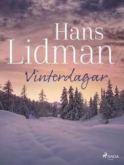 Vinterdagar (eBook, ePUB) - Lidman, Hans