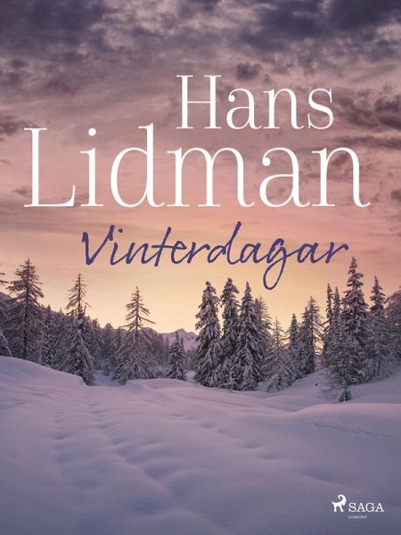 Vinterdagar (eBook, ePUB)