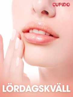 Cover Lördagskväll - erotiska noveller (eBook, ePUB)