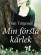 Min första kärlek (eBook, ePUB) - Bild 1