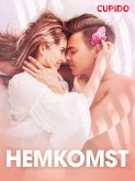 Hemkomst - erotiska noveller (eBook, ePUB)