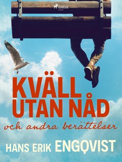 Cover Kväll utan nåd och andra berättelser (eBook, ePUB)
