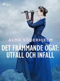 Det främmande ögat: utfall och infall (eBook, ePUB)