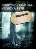 Pyromani (eBook, ePUB)